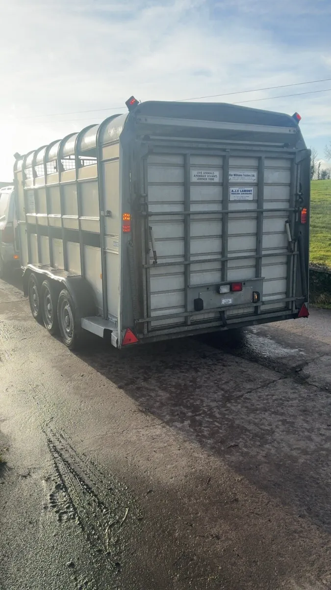 Ifor Williams cattle trailer - Image 4