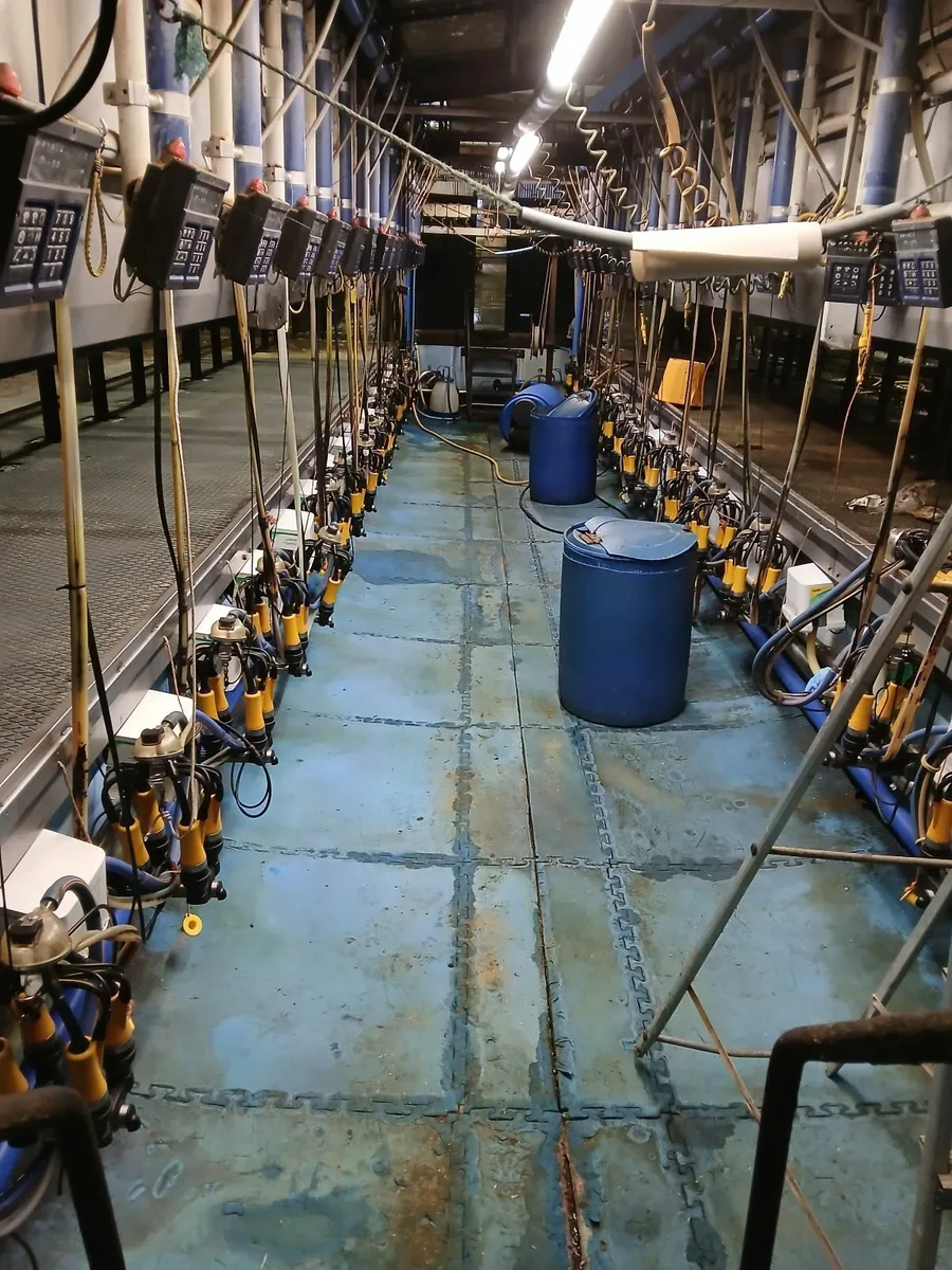 Milking Parlour - Image 1