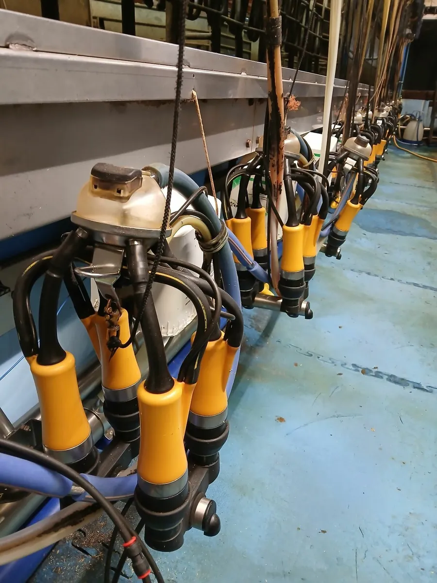Milking Parlour - Image 3