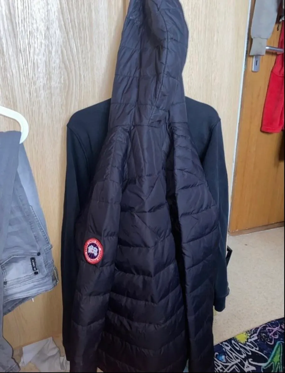 Canada goose - Image 1