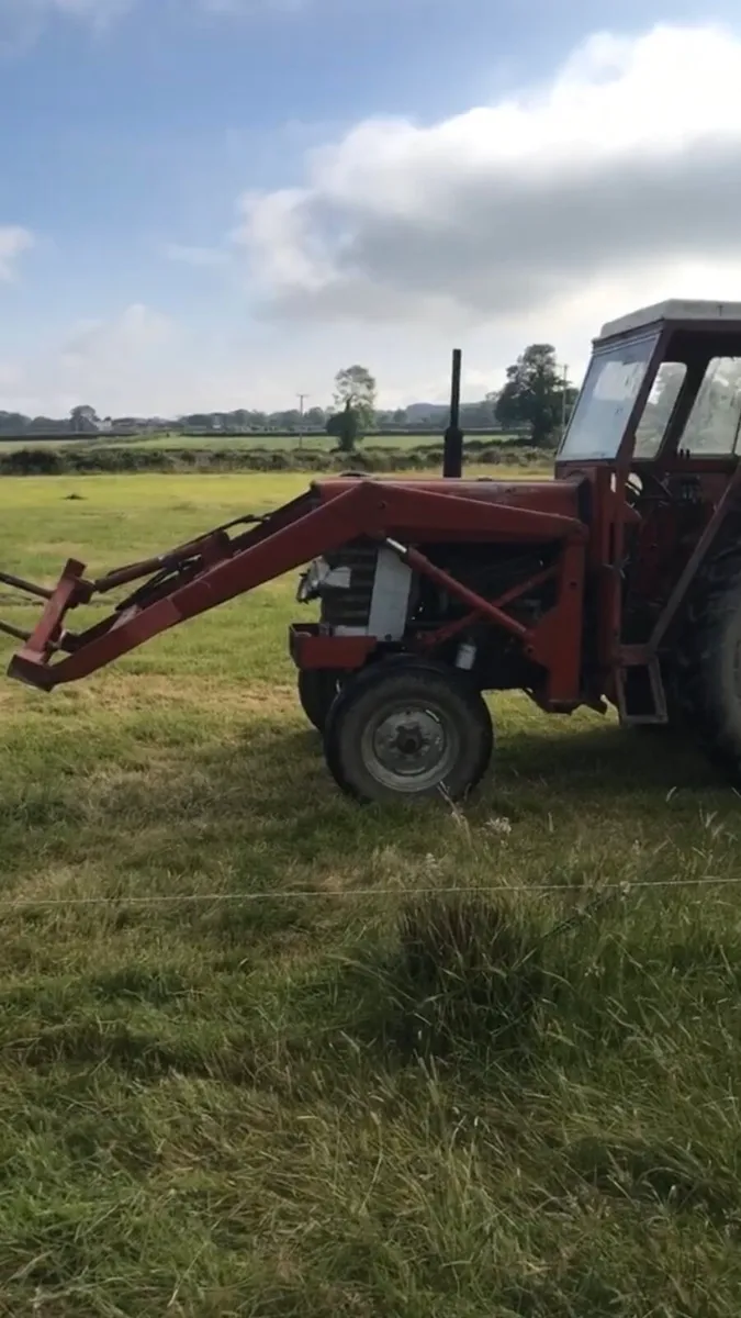 Massey Ferguson 185 FrontLoader /  Grain Cleaner - Image 1