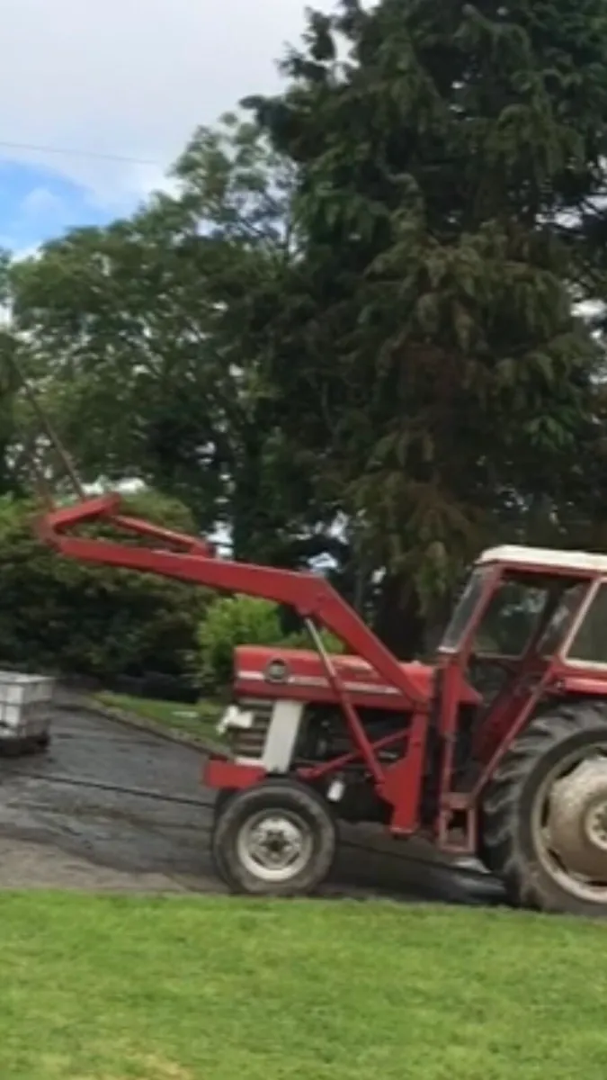 Massey Ferguson 185 FrontLoader /  Grain Cleaner - Image 2