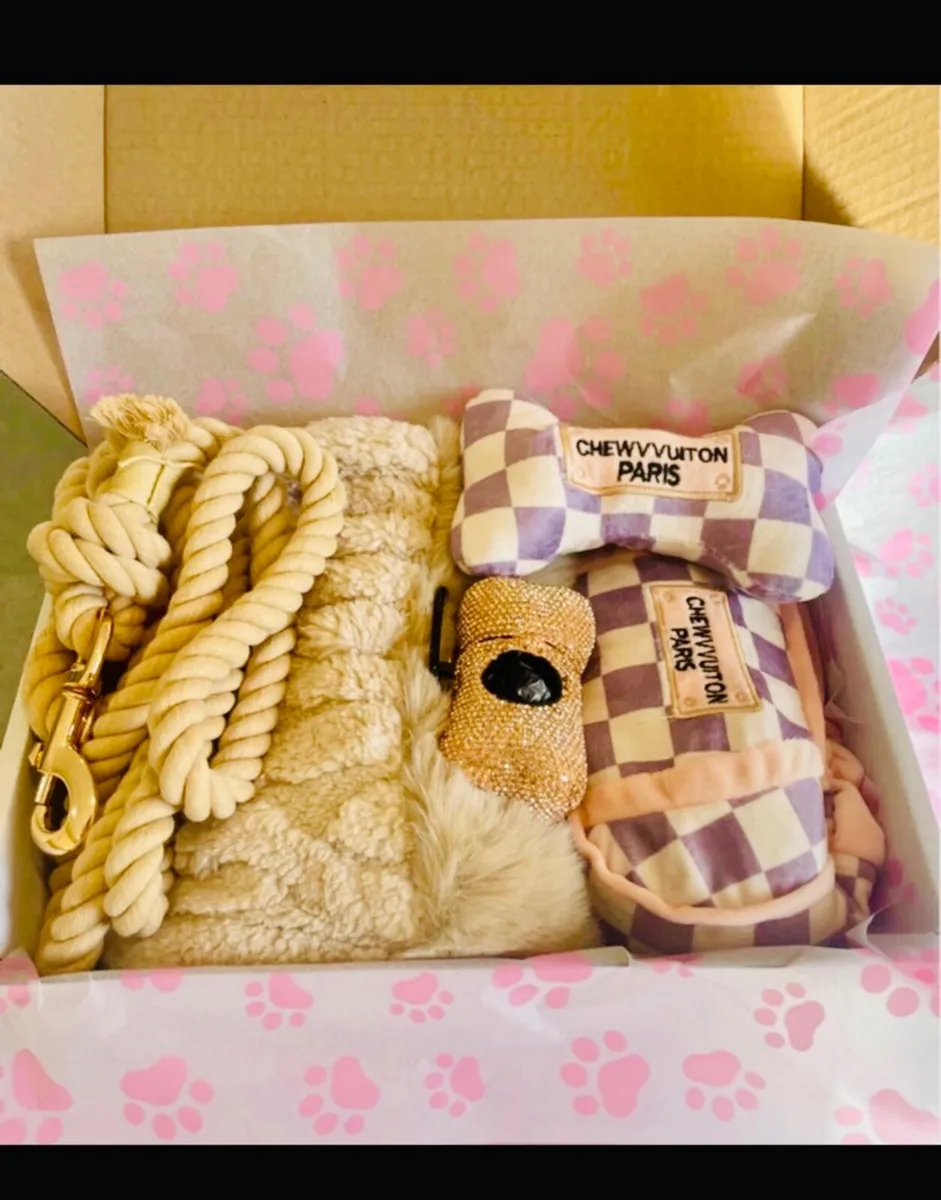 The ‘Bling’ Dog Walkers Gift Set - Image 1
