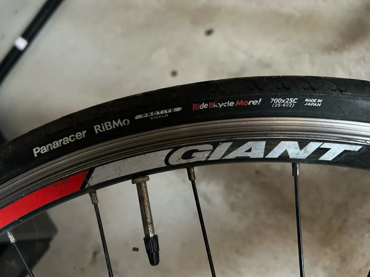 Giant Defy 3 - Image 3