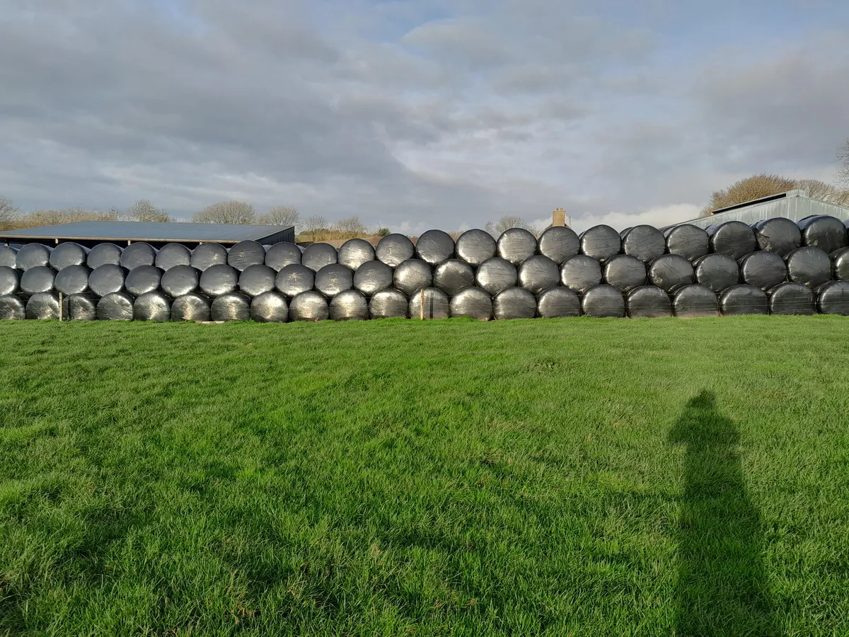 Silage & straw for sale - Image 2