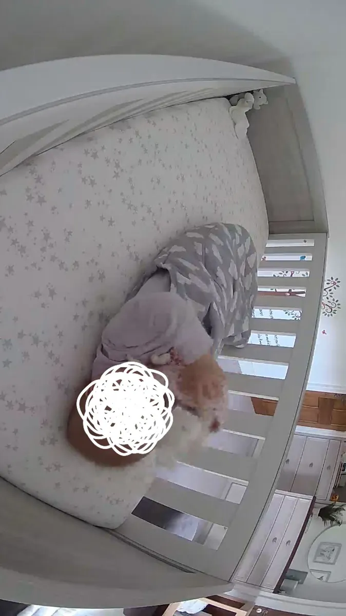 Cot Bed (0-4yrs) - Image 2