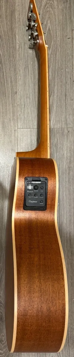 Tanglewood TWU-F-NS with pickup and gigbag - Image 3