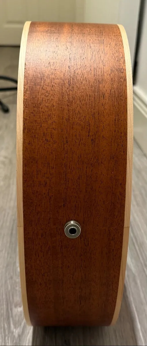 Tanglewood TWU-F-NS with pickup and gigbag - Image 4