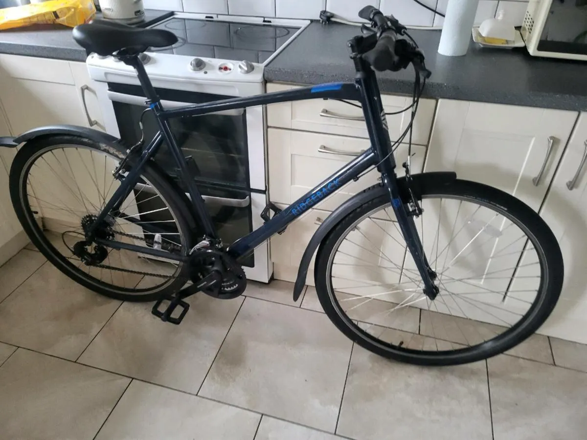 Mens xxl bike - Image 1