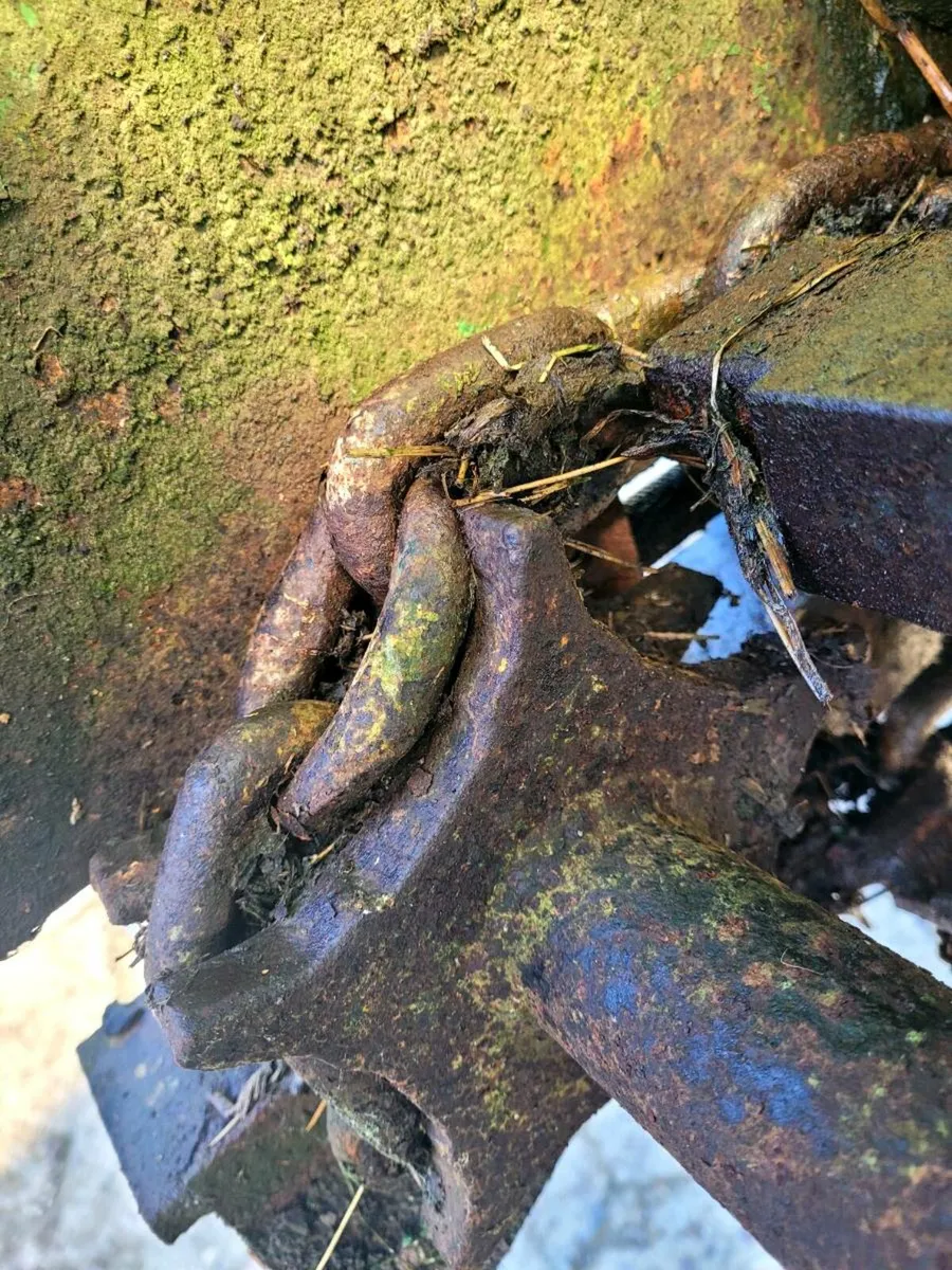 Bunning 90 - Image 3