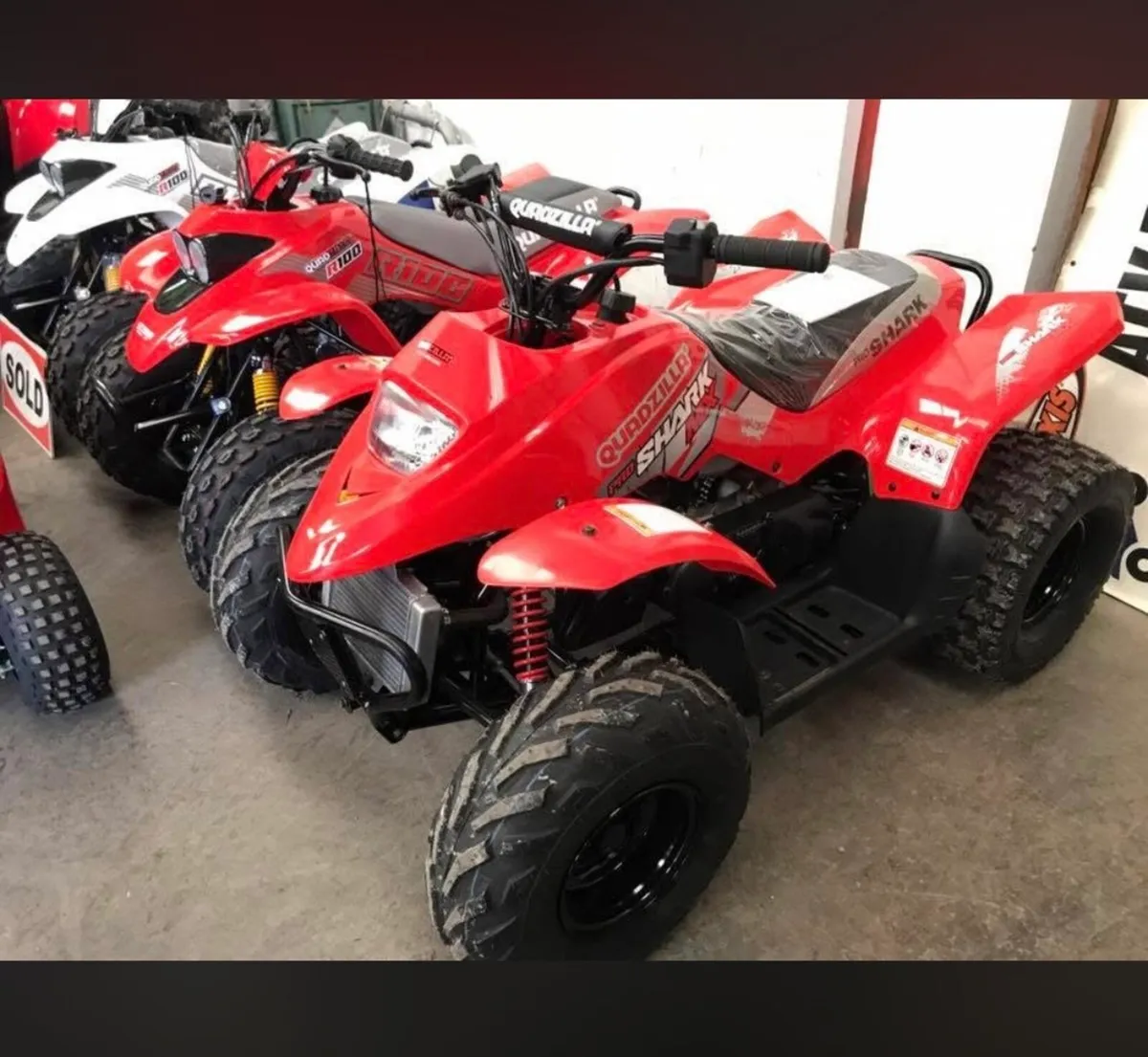 2024 quadzilla r100 cc pro shark quad bike - Image 1