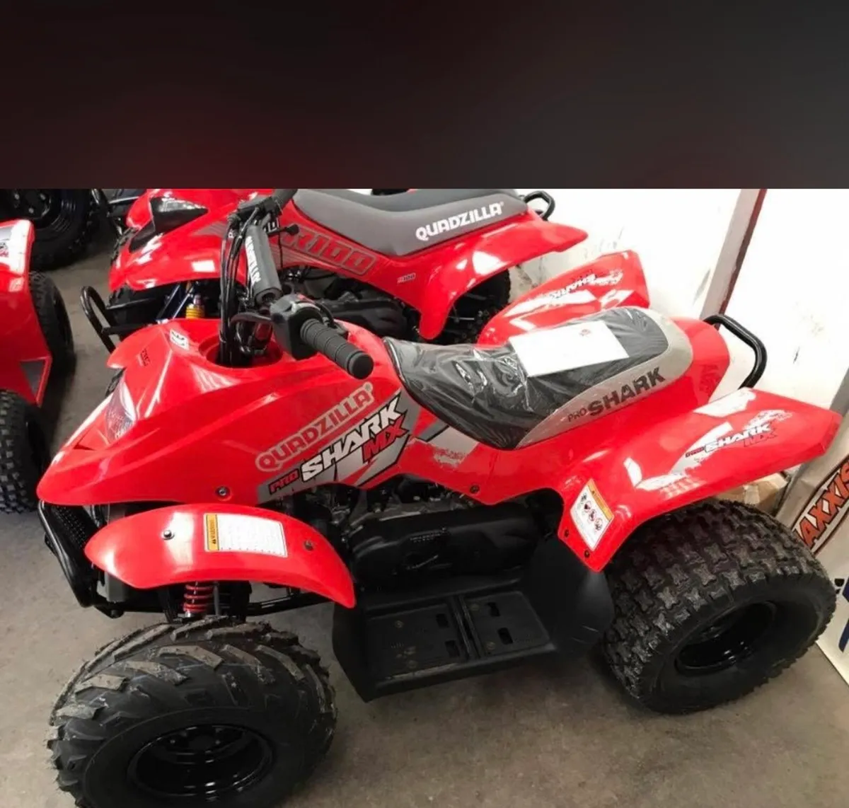 2024 quadzilla r100 cc pro shark quad bike - Image 2