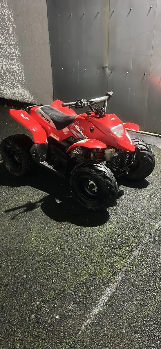 2024 quadzilla r100 cc pro shark quad bike - Image 3