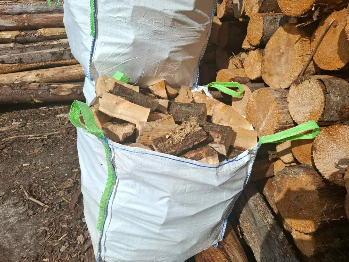 Firewood - Image 2