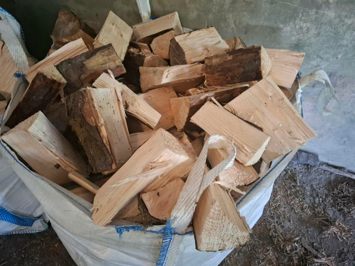 Firewood - Image 3