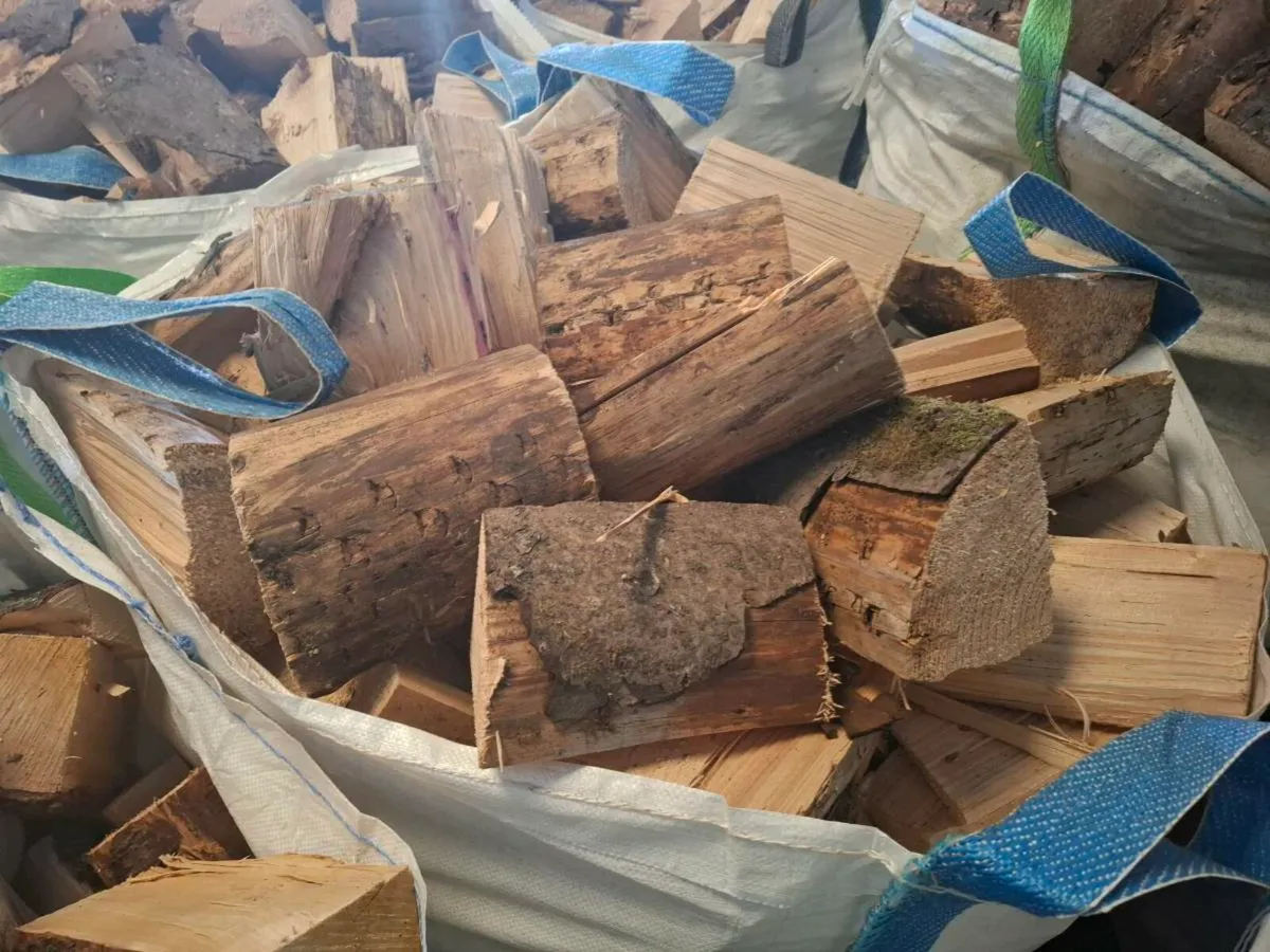 Firewood - Image 4