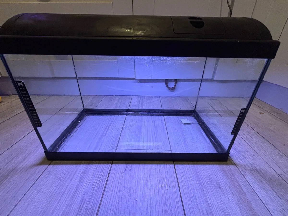 Fish tank - Image 3