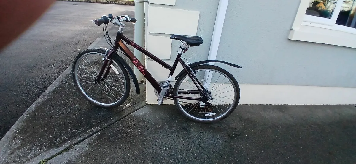 Girls Bicycle - Image 2