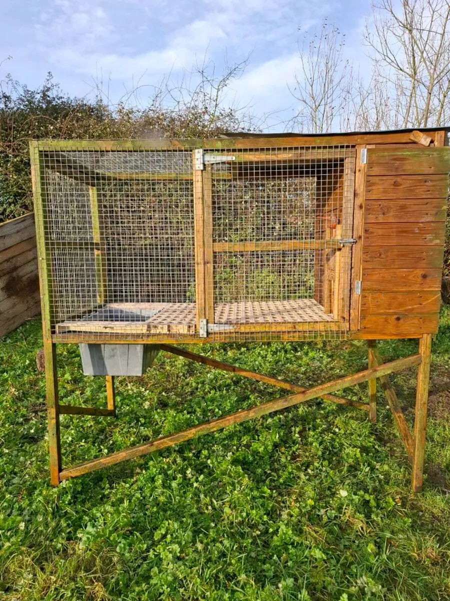 Call ducks call ducks pens - Image 4