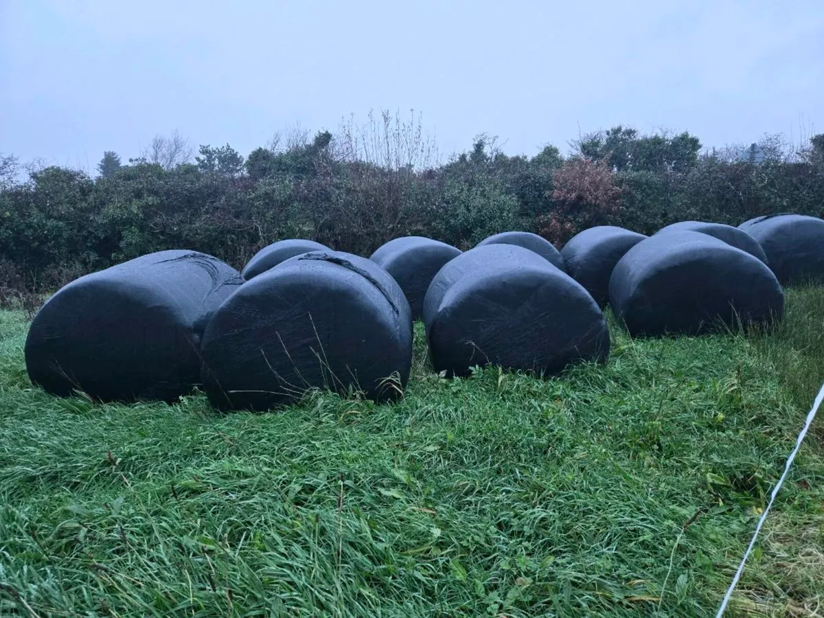 Round bales - Image 1