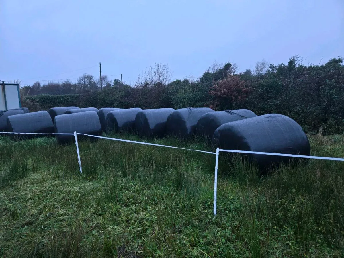 Round bales - Image 2