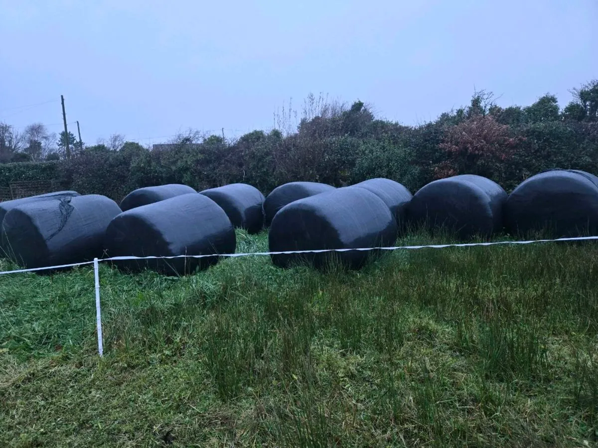 Round bales - Image 3
