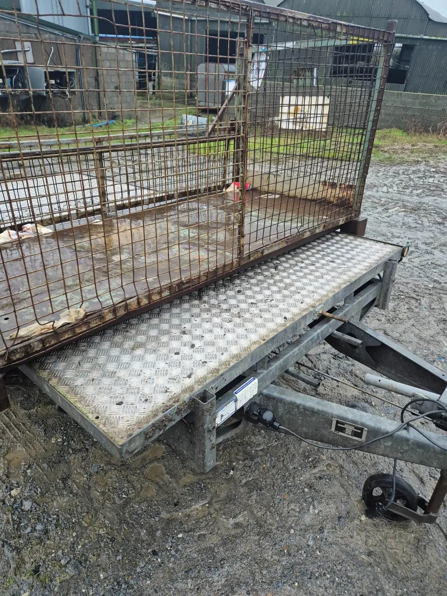 Calf crates/man basket - Image 2