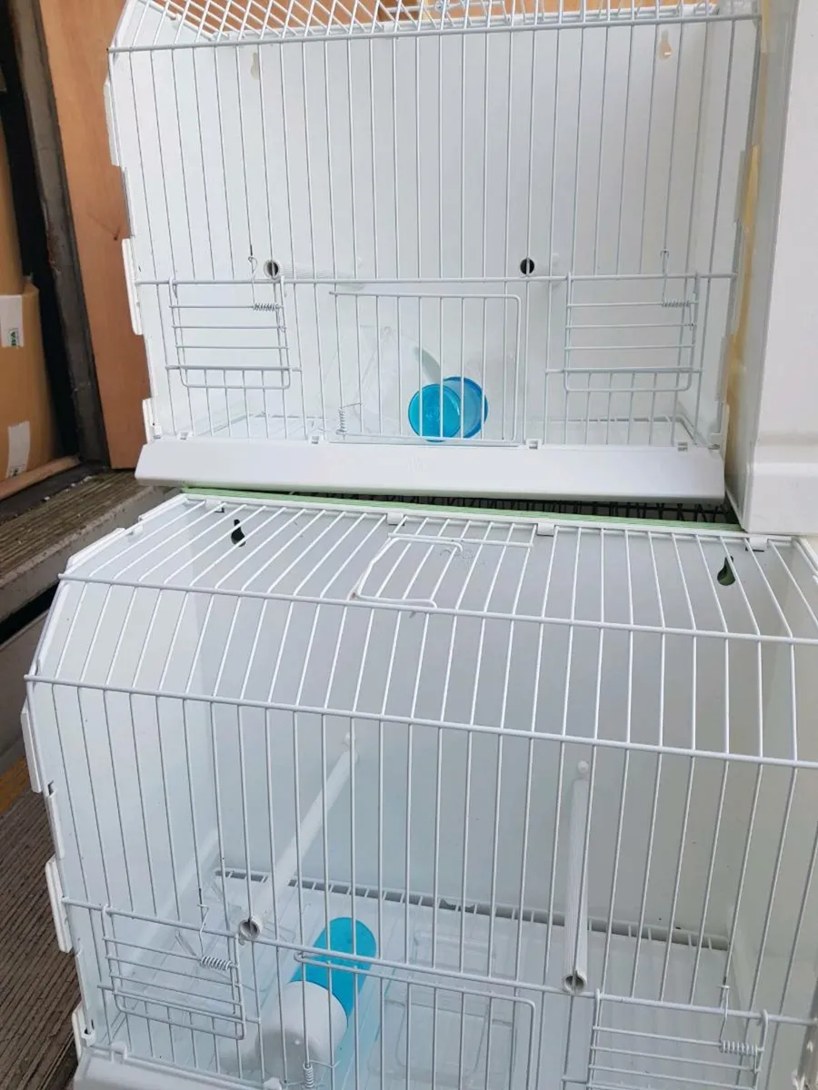 Seed and cages - Image 3