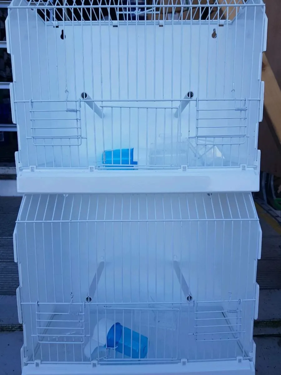 Seed and cages - Image 4