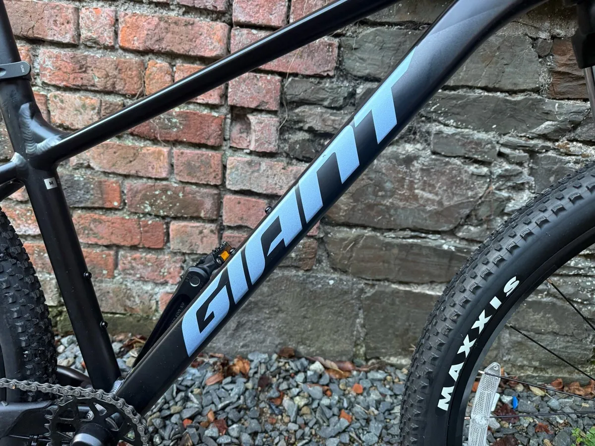 Giant Talon 4 L - Image 2