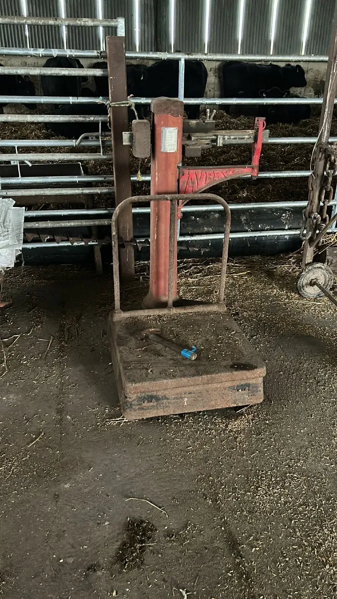 Avery Vintage Weigh Scales