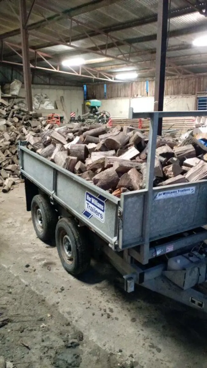 Hardwood firewood - Image 2