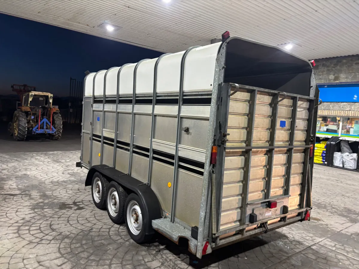 ifor williams ta510 14 ft highroof - Image 4