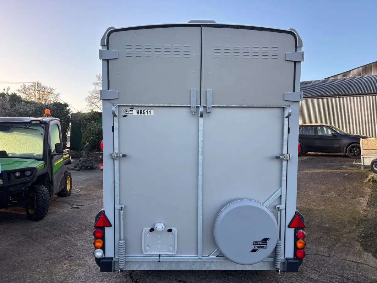 2025,IFOR WILLIAMS HB511 SILVER - Image 4