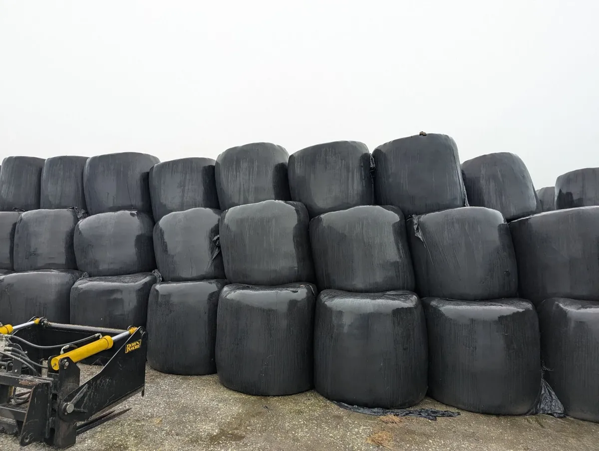 Straw and Silage - Image 2