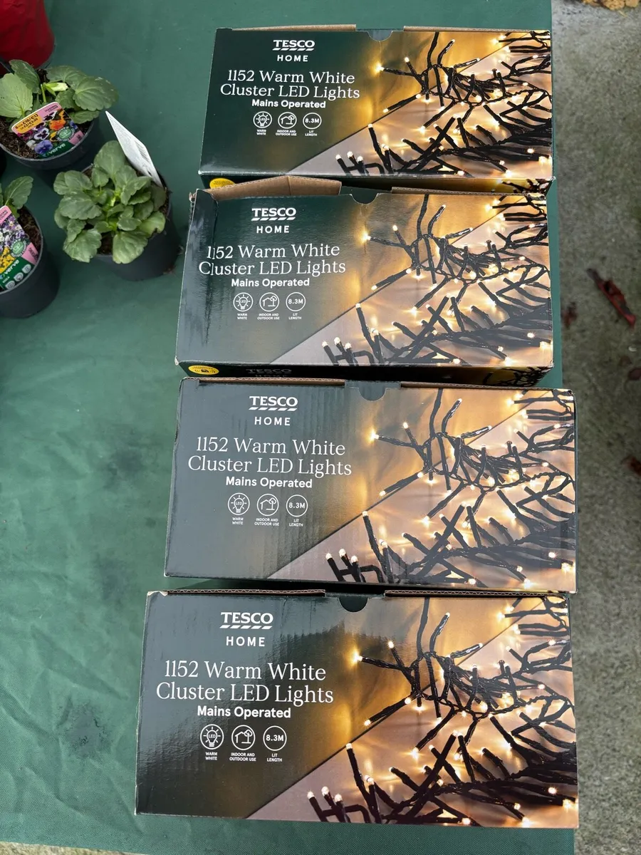 Christmas Lights  - outdoor or indoor - Image 2