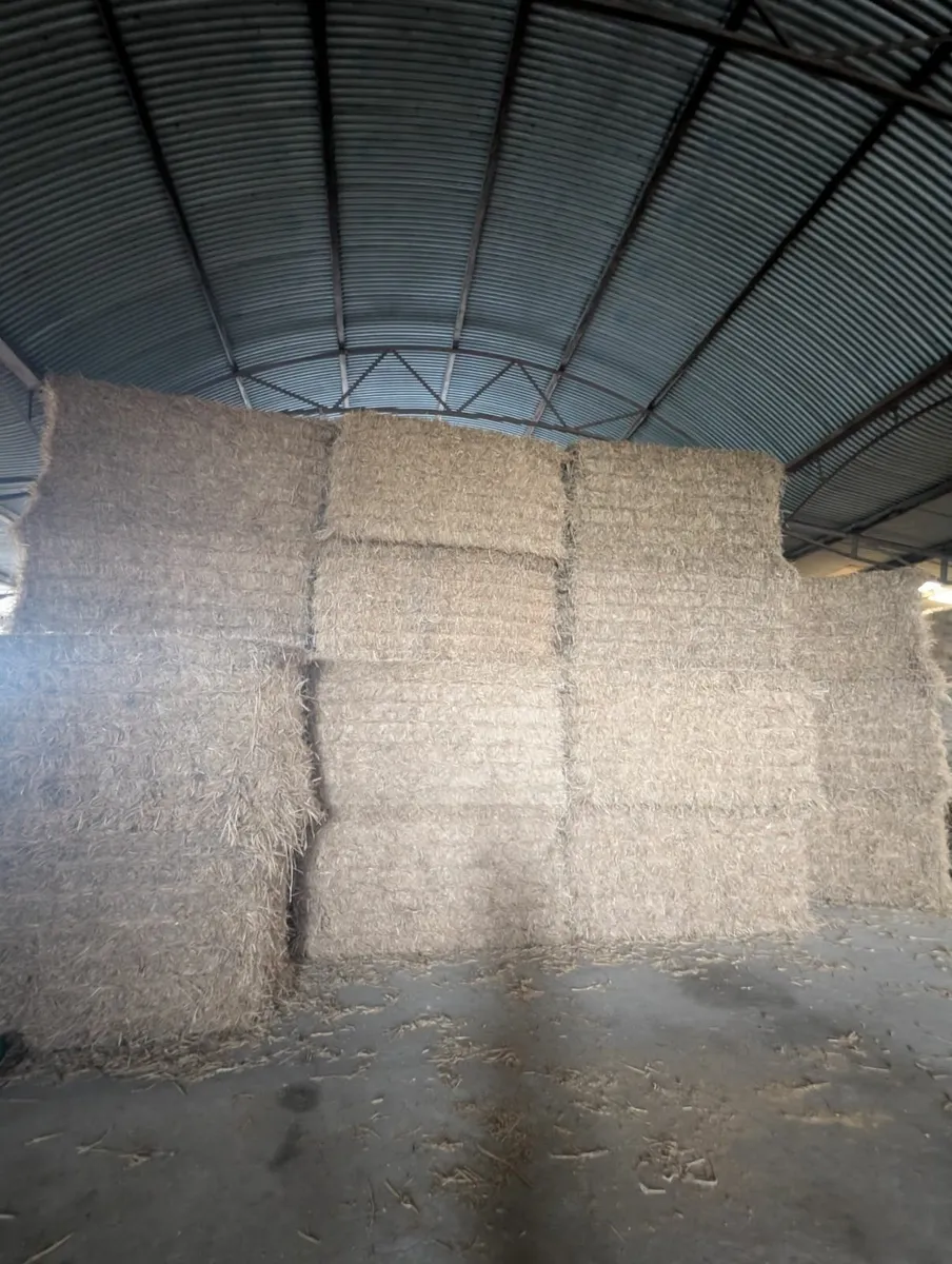 Straw and Silage - Image 1
