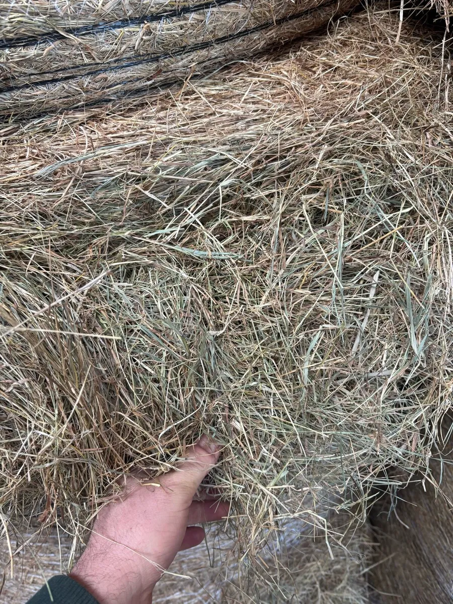30 Round bales of Organic green hay - Image 1