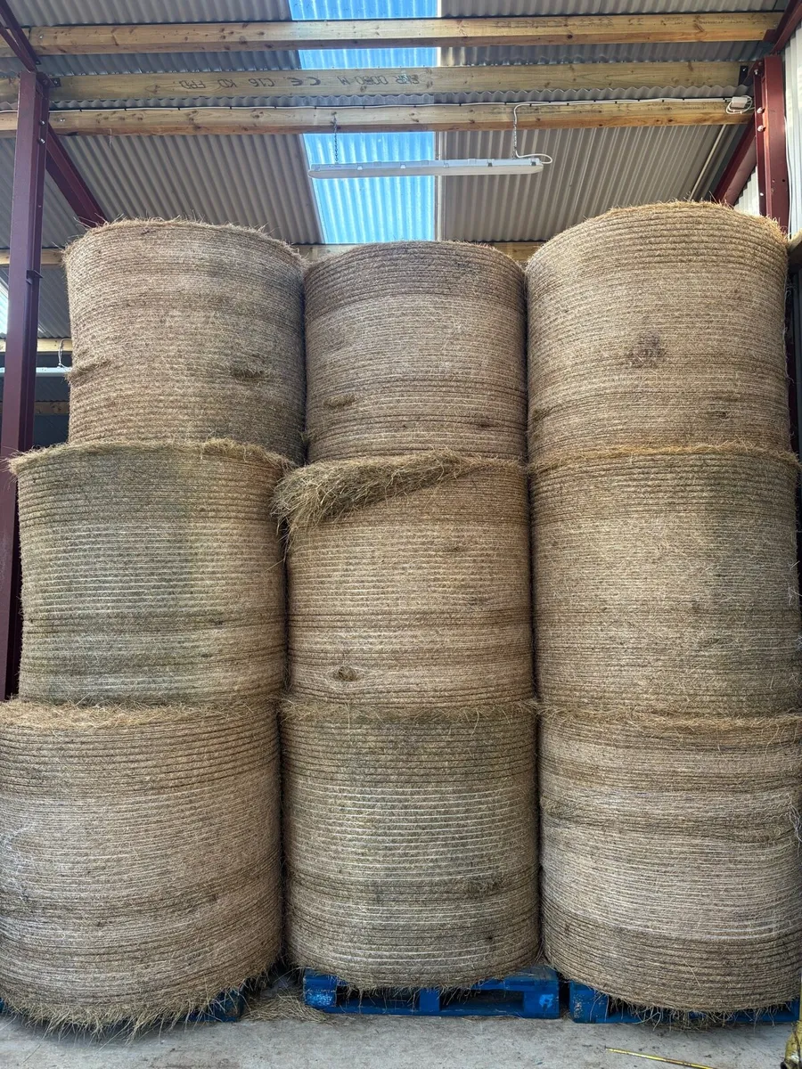 30 Round bales of Organic green hay - Image 2