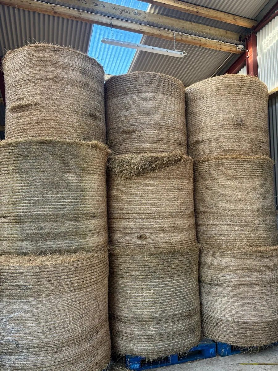 30 Round bales of Organic green hay - Image 3