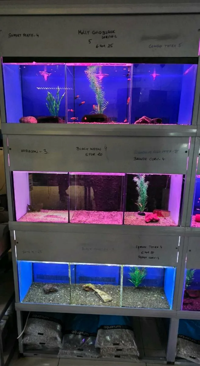 Fish rack and equipment