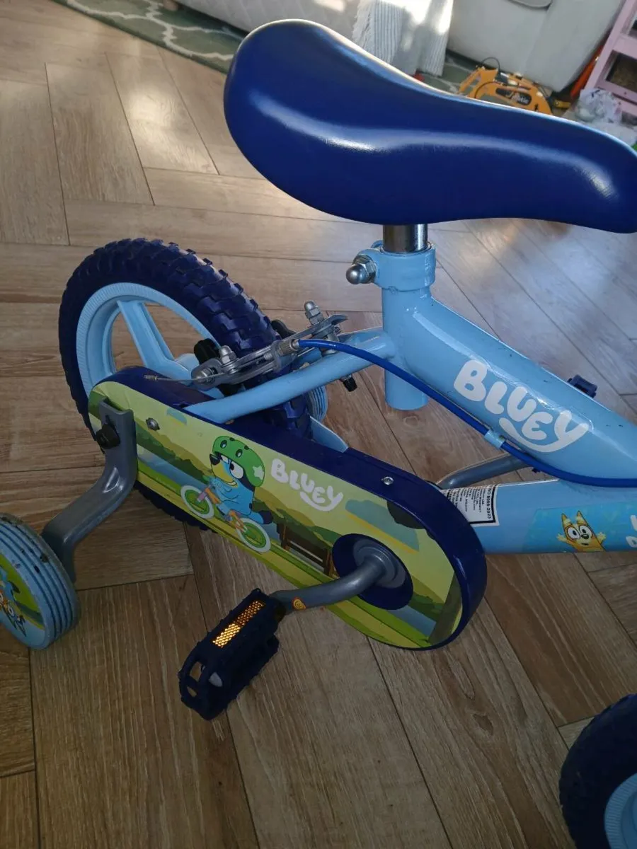 Bluey bike - Image 4