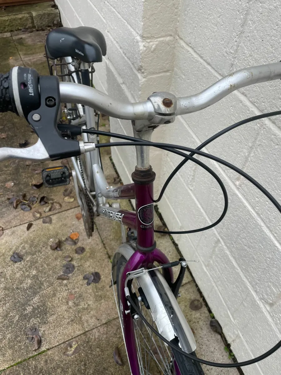 Ladies Bike - Image 3