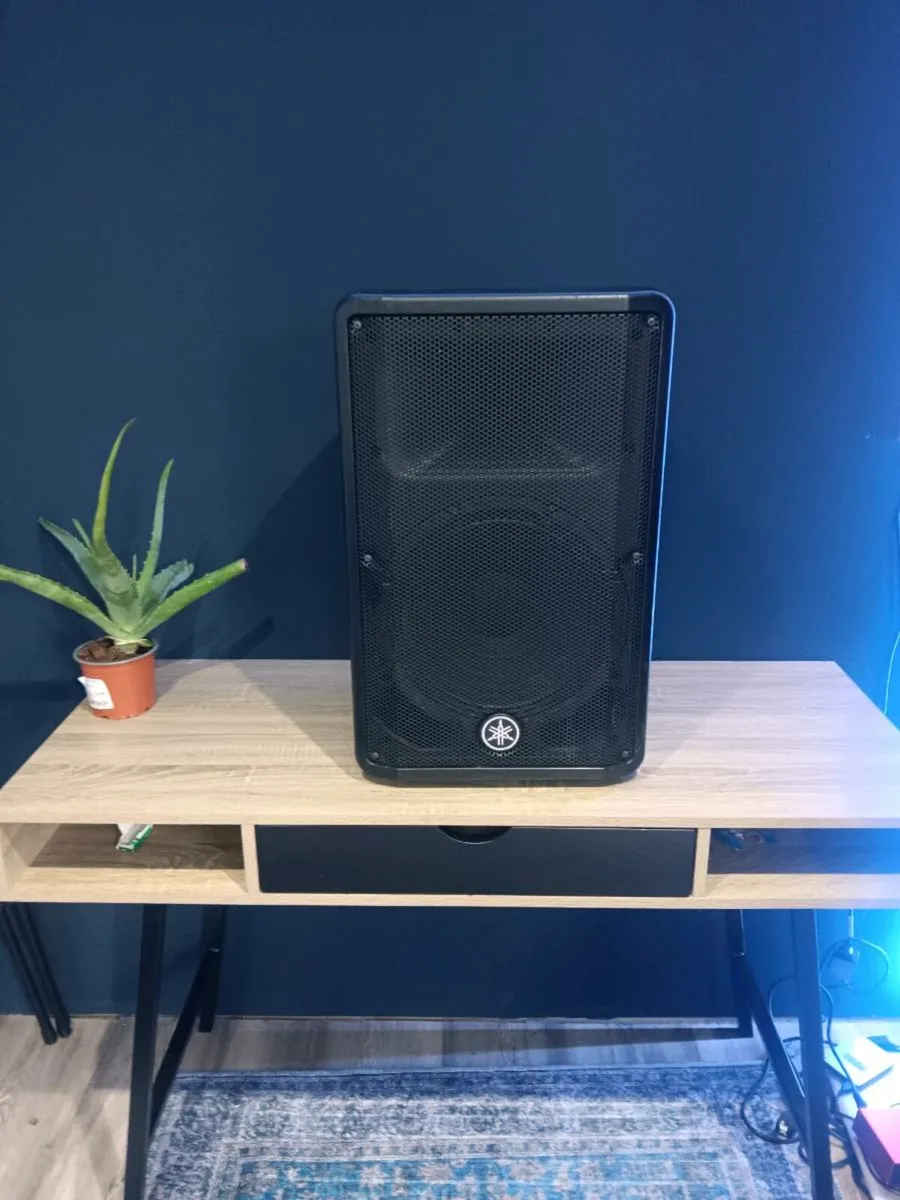 Yamaha DBR12 - Image 1