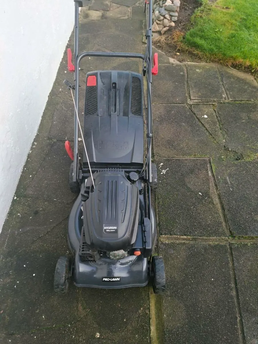 prolawn   lawnmower self-drive - Image 3