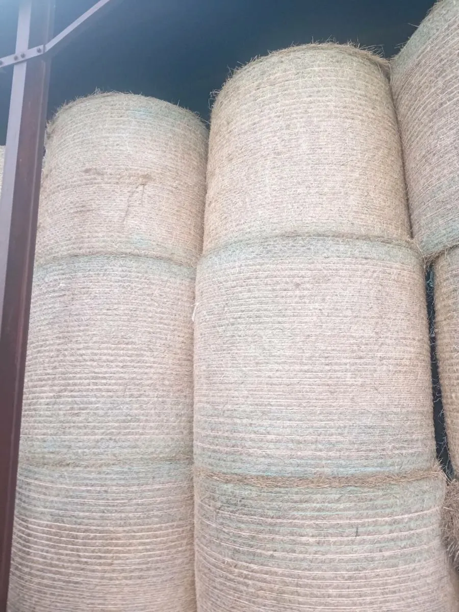 Round and square bales off hay - Image 1