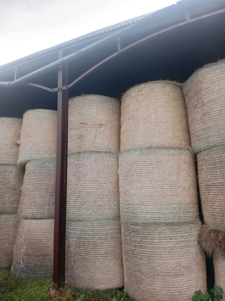 Round and square bales off hay - Image 3
