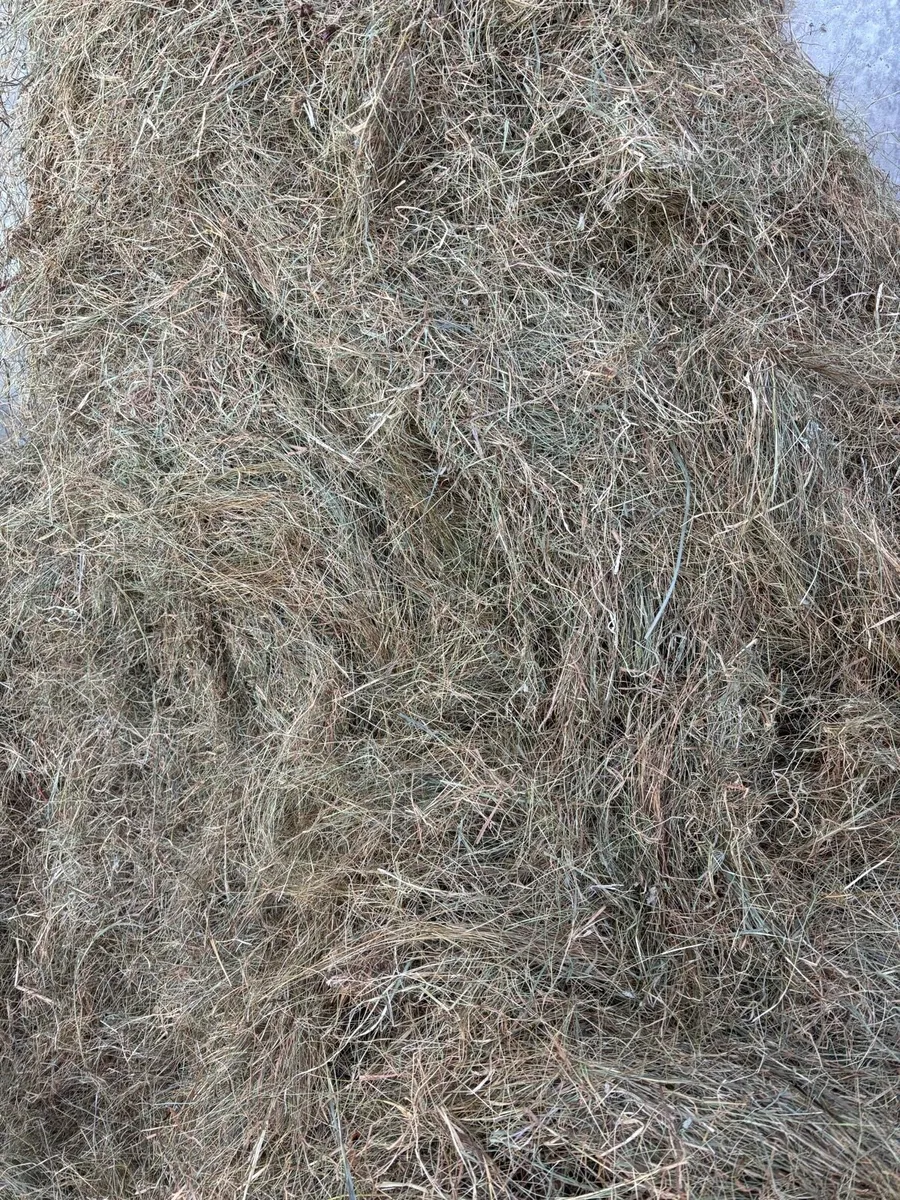 30 Round bales of Organic green hay - Image 4