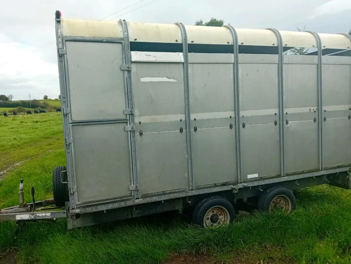Ifor Williams 12 x 6ft 6" cattle trailer - Image 1