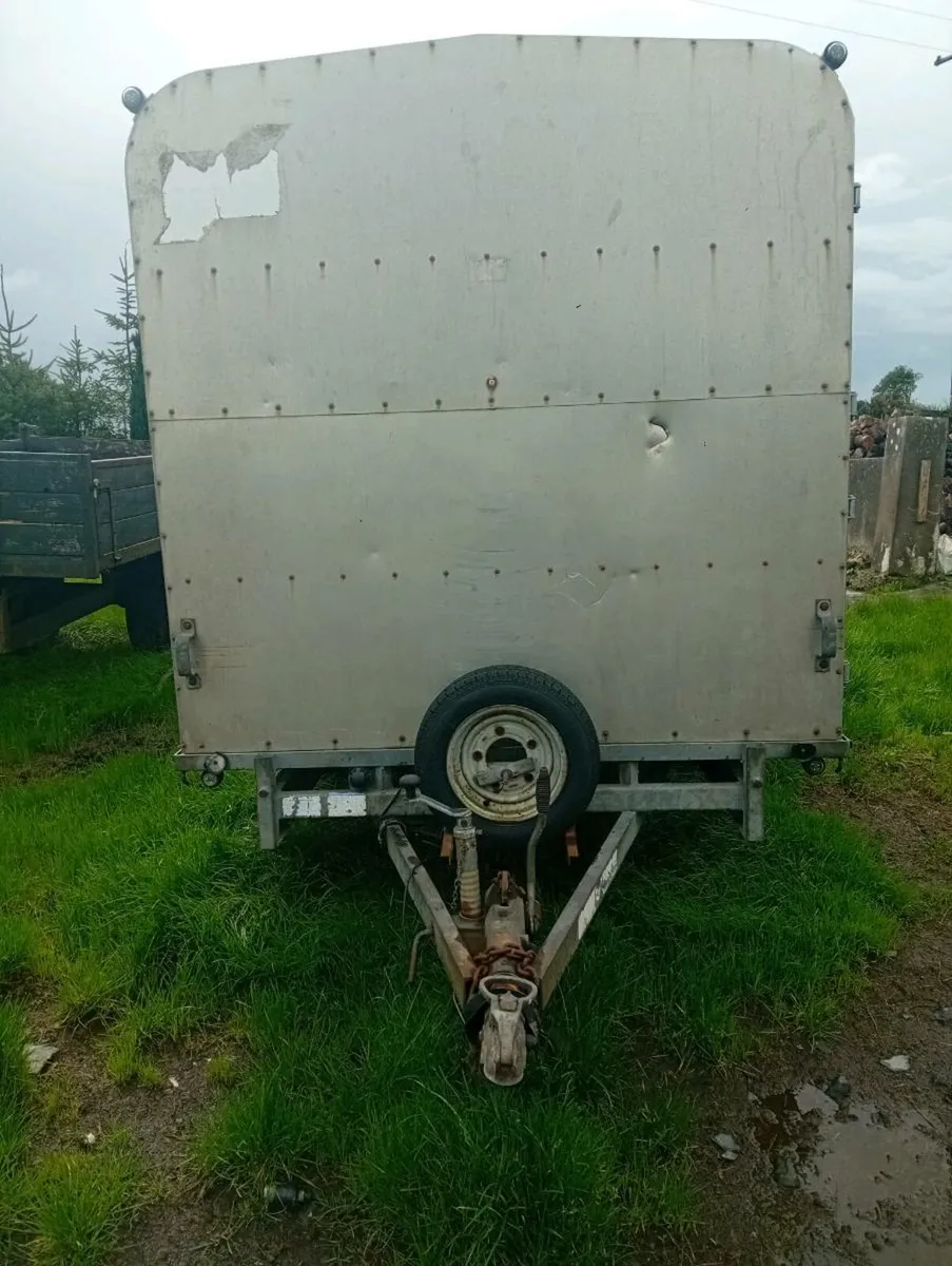 Ifor Williams 12 x 6ft 6" cattle trailer - Image 3